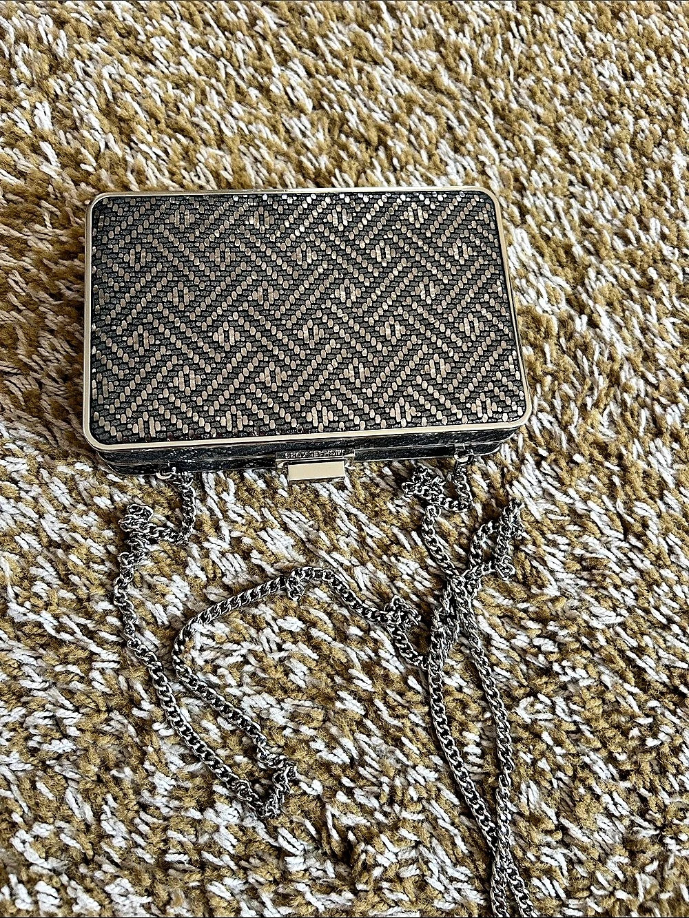 Michael Kors Snakeskin Embossed Hard Case Clutch Crossbody